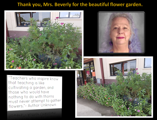Mrs. Beverly's Garden